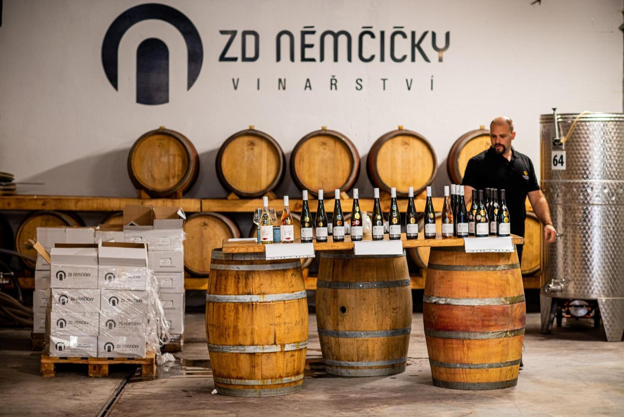 Ubytovani Ve Vinarstvi Zd Nemcicky Exterior photo